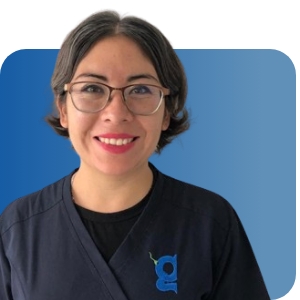 talento ingenes adminision