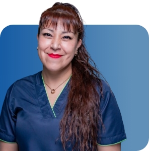 ingenes intendencia y mantenimiento